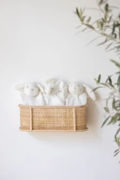 Augustin Le Lapin - Doudou Coton Bio 12 Augustin Le Lapin - Doudou Coton Bio -Mode Enfantine T30575H 11 T30515H 11 T30535H 11 2 2b7c992d f2be 4de5 8c5c 48dec7994208