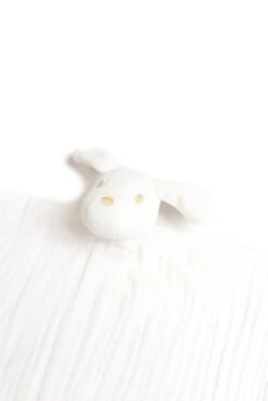 Lucien Le Chien - Doudou Coton Bio -Mode Enfantine T30575H 11 2 0 1 packshot