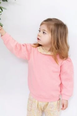 Sweat - Rose Broderies