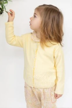 Cardigan - Jaune Pâle Broderies Point Mousse