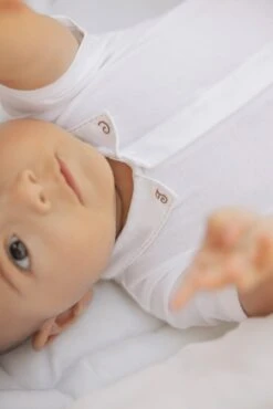 Body - Ecru Col Pointu