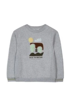 Sweat - Gris Clair Illustration Nature 11 Sweat - Gris Clair Illustration Nature -Mode Enfantine TY15013 21 1 packshot