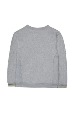 Sweat - Gris Clair Illustration Nature 12 Sweat - Gris Clair Illustration Nature -Mode Enfantine TY15013 21 2 packshot