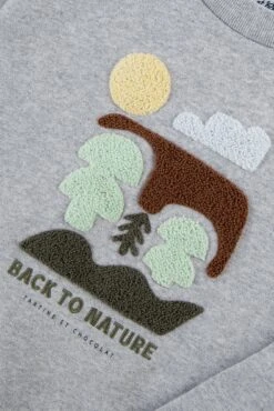 Sweat - Gris Clair Illustration Nature 13 Sweat - Gris Clair Illustration Nature -Mode Enfantine TY15013 21 3 packshot