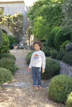 Sweat - Beige Illustration Soleil Couchant