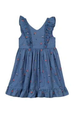 Robe - Bleu Denim Broderies 13 Robe - Bleu Denim Broderies -Mode Enfantine TY30002 45 1 packshot