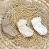 Kit Chaussettes - Ecru -Mode Enfantine TY99000U